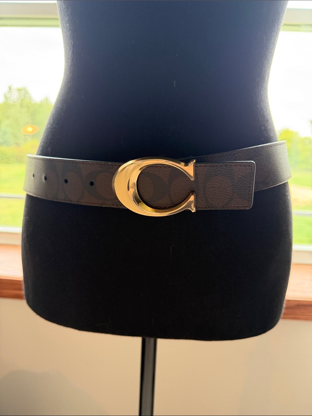 Coach Brown Signature Canvas Belt with Gold C Buckle